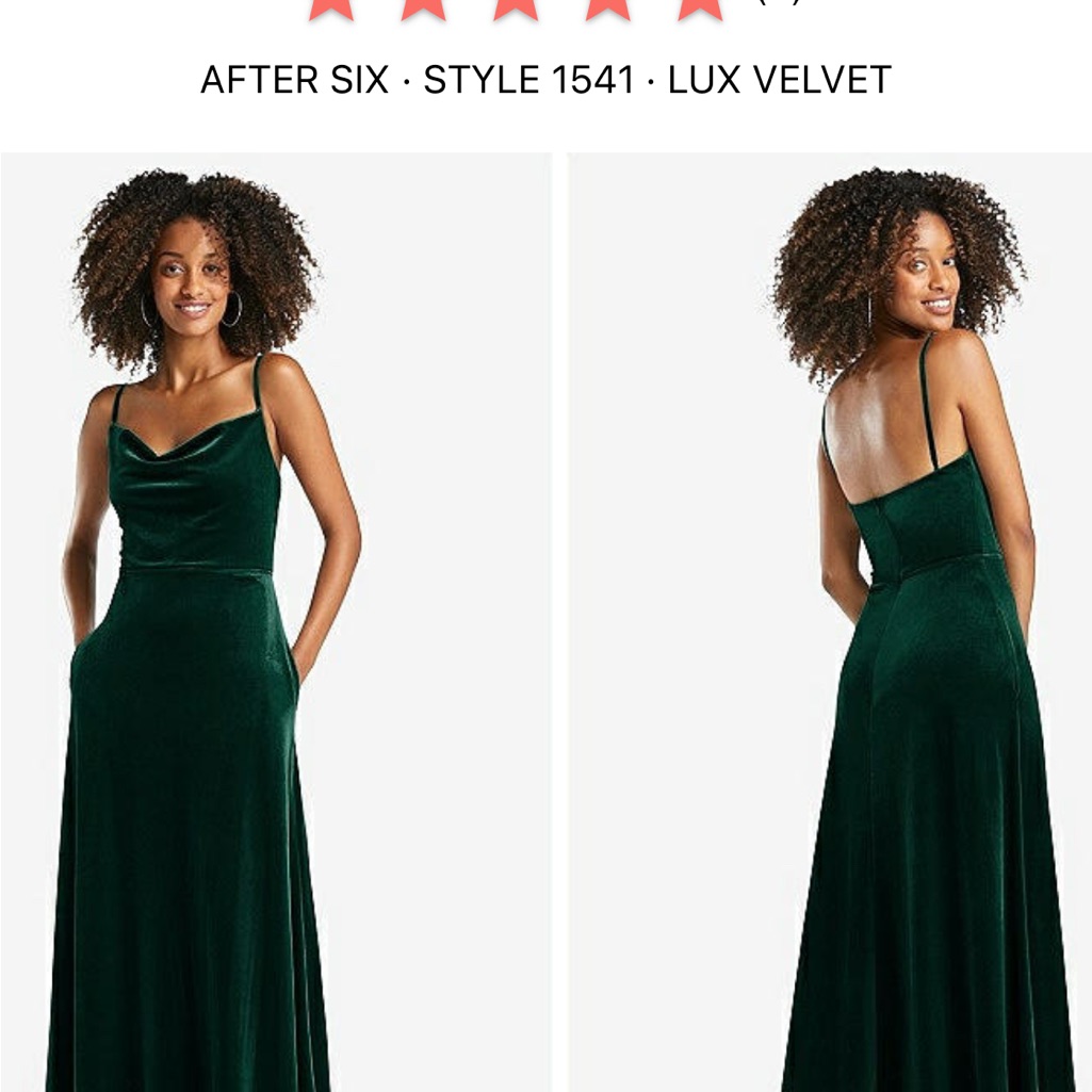 Dessy Group Evergreen Cowl Neck Velvet Evening Gown